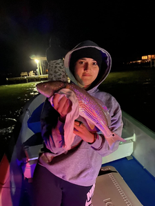 Striking gold in Gulf Shores' waters.